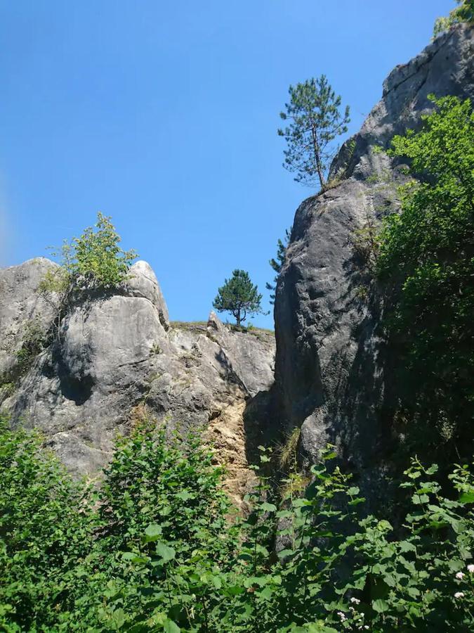 Patchou'S Cabane Villa Couvin Kültér fotó